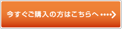 今すぐご購入の方はこちらへ